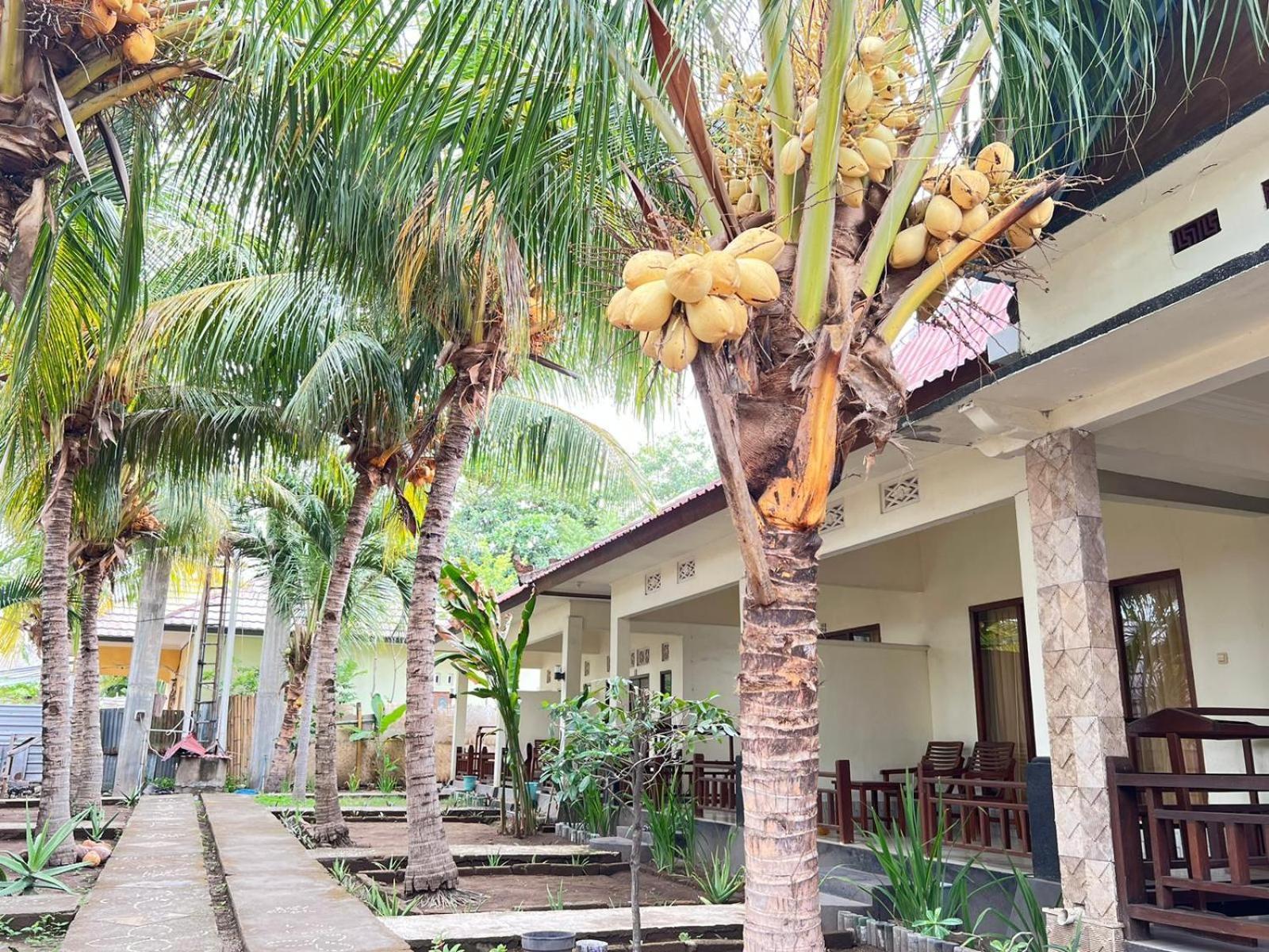 Bias Bungalows Gili Air Buitenkant foto